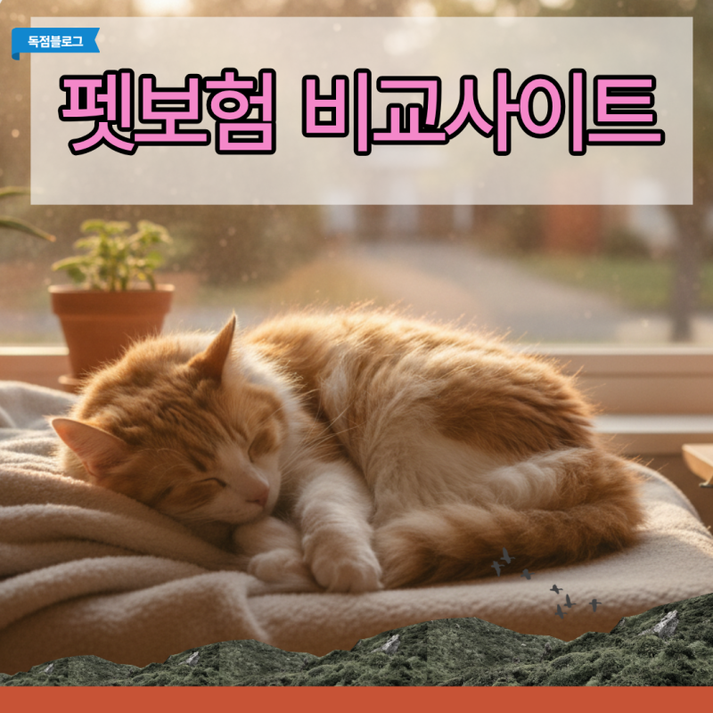 펫보험 비교사이트 맹신했다 낭패 본 특약 제외 조건 분석(네이버 페이 카카오)