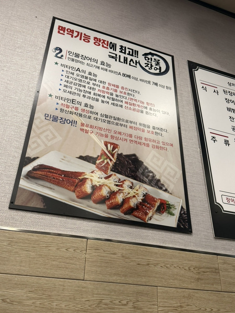 미남장어 사진 1
