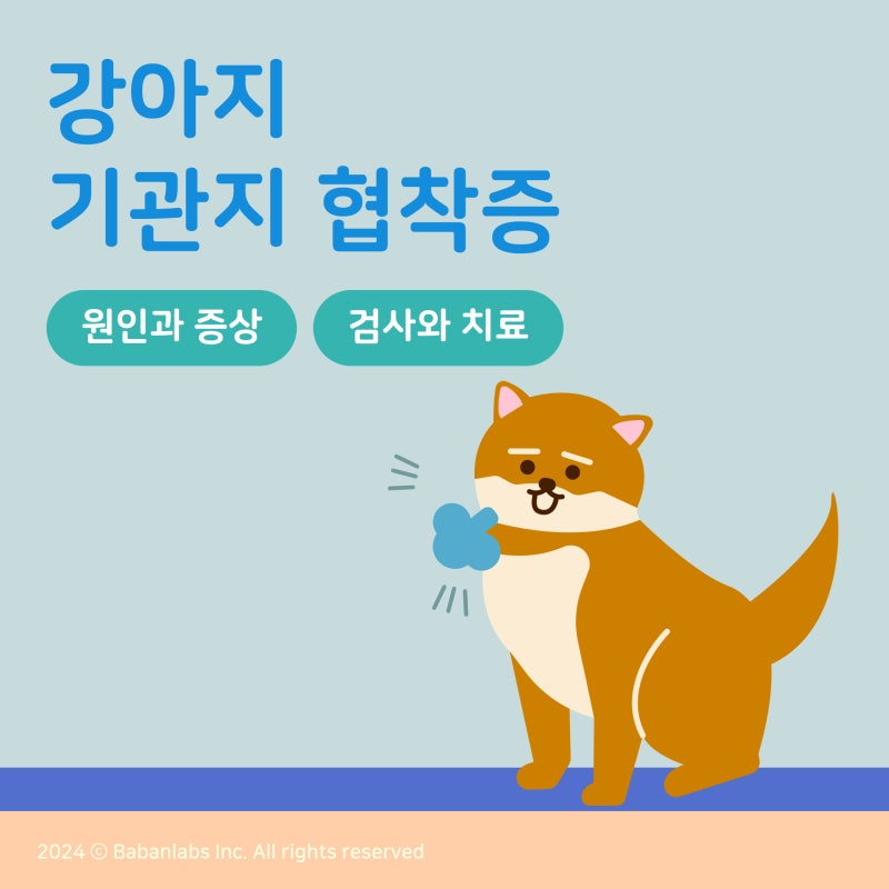 강아지가 켁켁거려요, 강아지 기관지 협착증 원인과 증상 1편_난지공원 동물병원