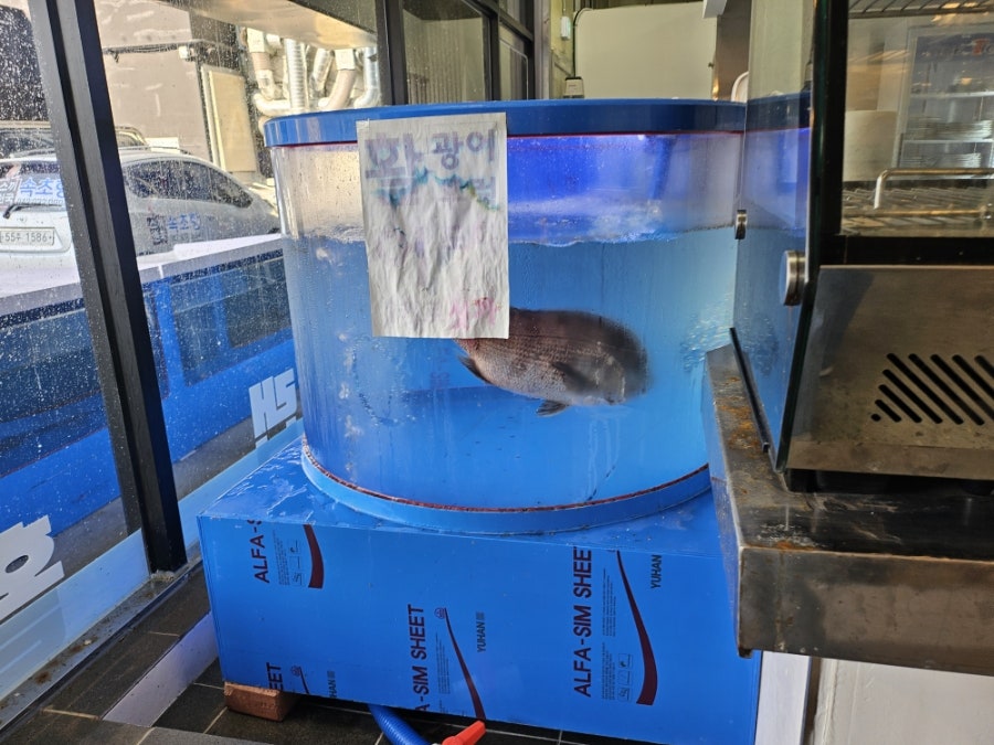 속초항 사진 3