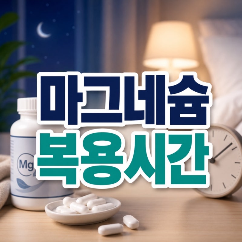 마그네슘 복용시간 언제가 좋을까? 자기 전 섭취와 피해야 할 시간 총정리