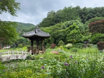 봄날농원 사진 5