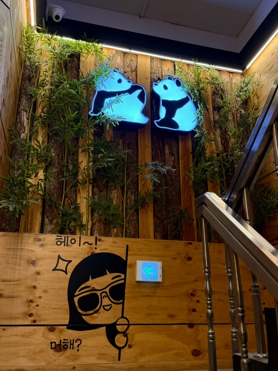 우후죽순 사진 5