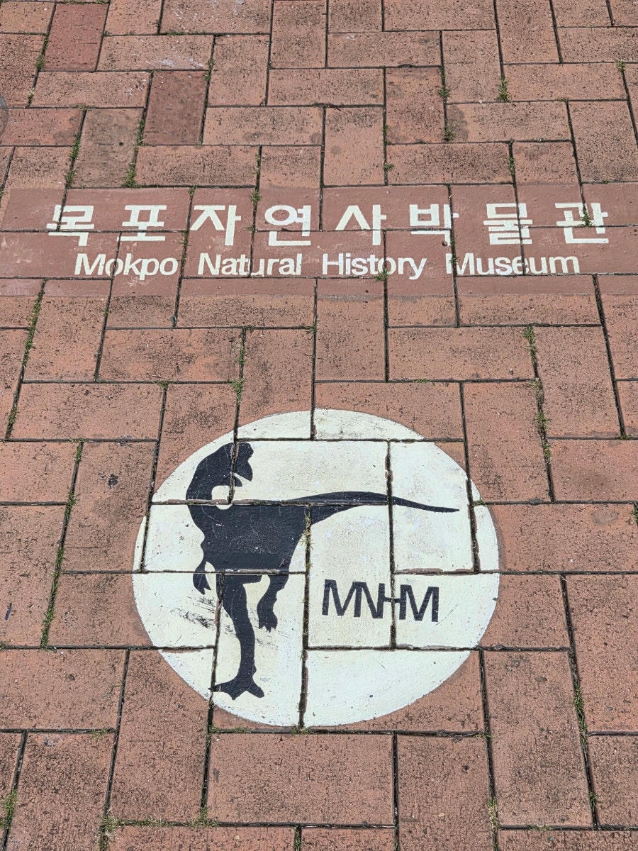 솔뫼능이버섯 사진 4