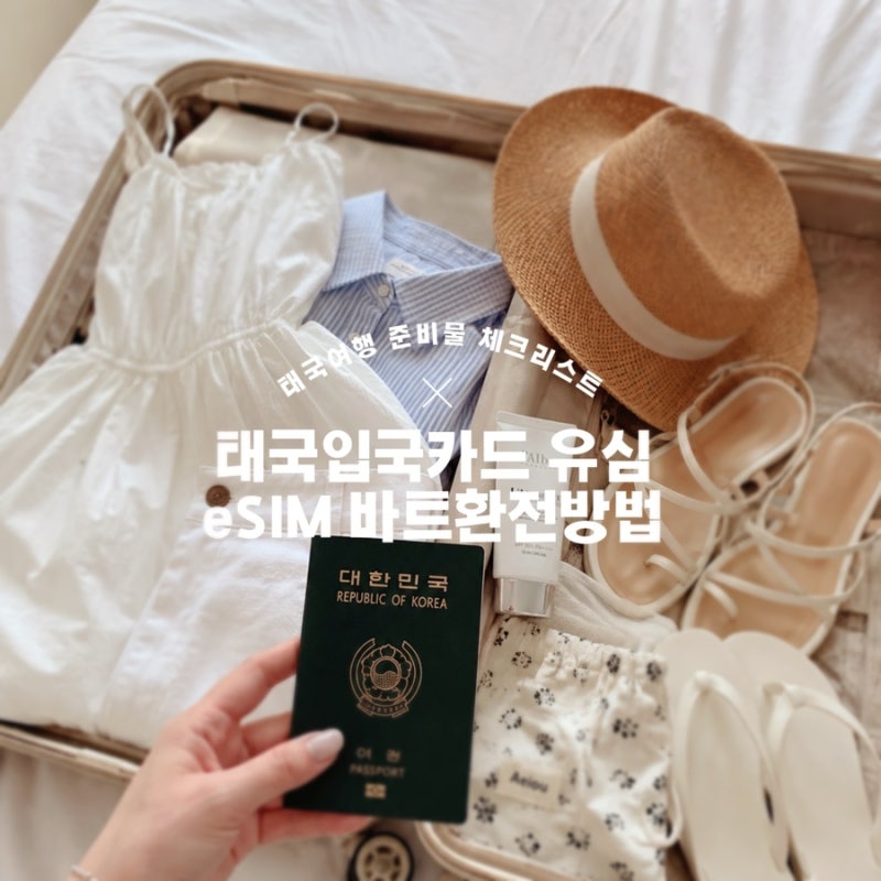 태국 여행 준비물 유심 eSIM 입국 카드 작성 바트 환전 방법 총정리