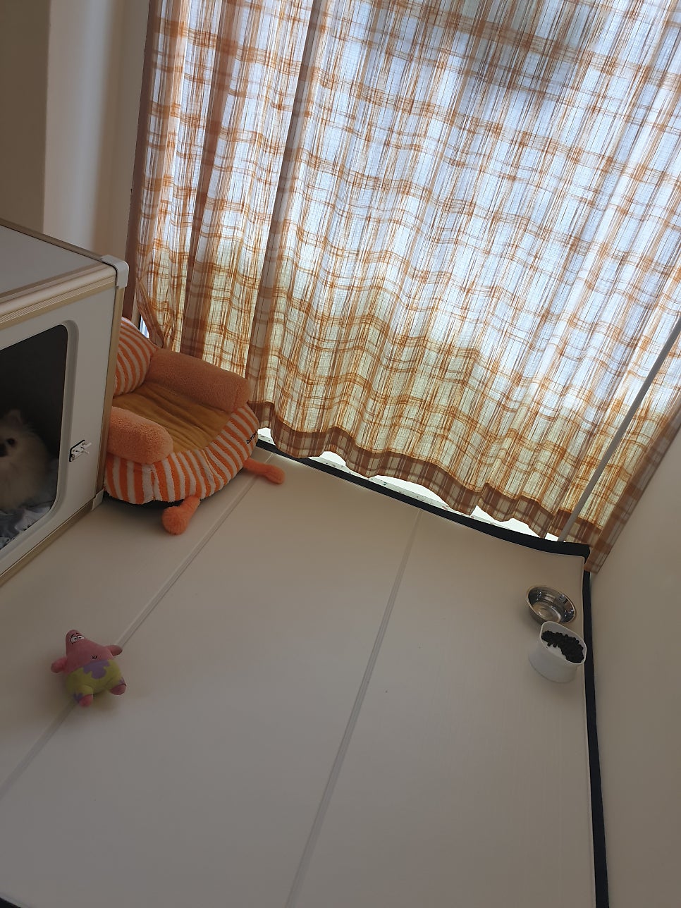 콩스키친 사진 6