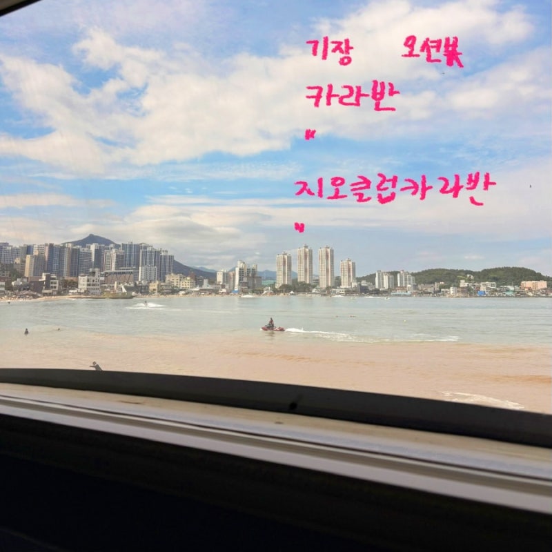부산 기장 오션뷰 카라반 ‘지오클럽 카라반’ 11번방 후기 / 바비큐·산책로·일광해수욕장