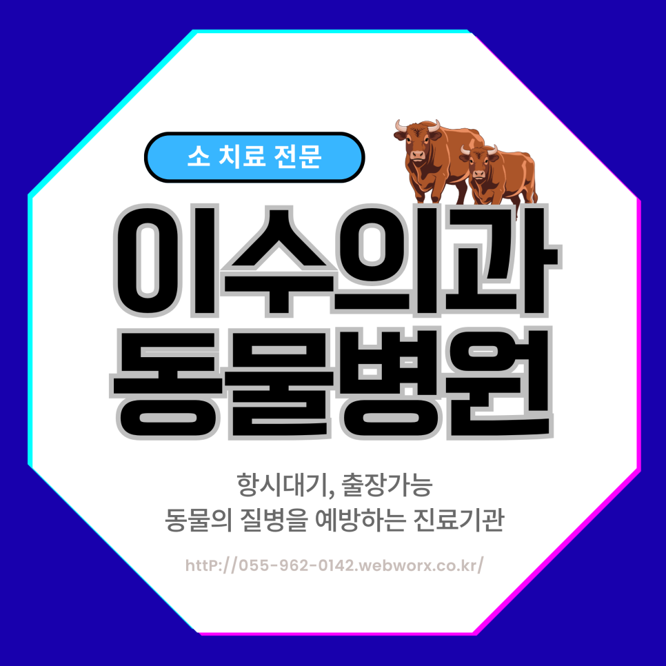 이수의과동물병원 사진 1