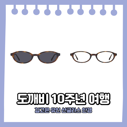 김고은 선글라스 안경 뿔테 & 유인나 생로랑 선글라스 도깨비 10주년 여행 패션 정보