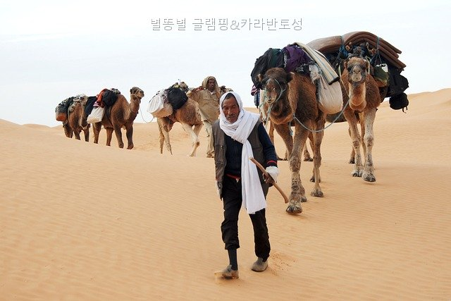 모두의캠핑 사진 4