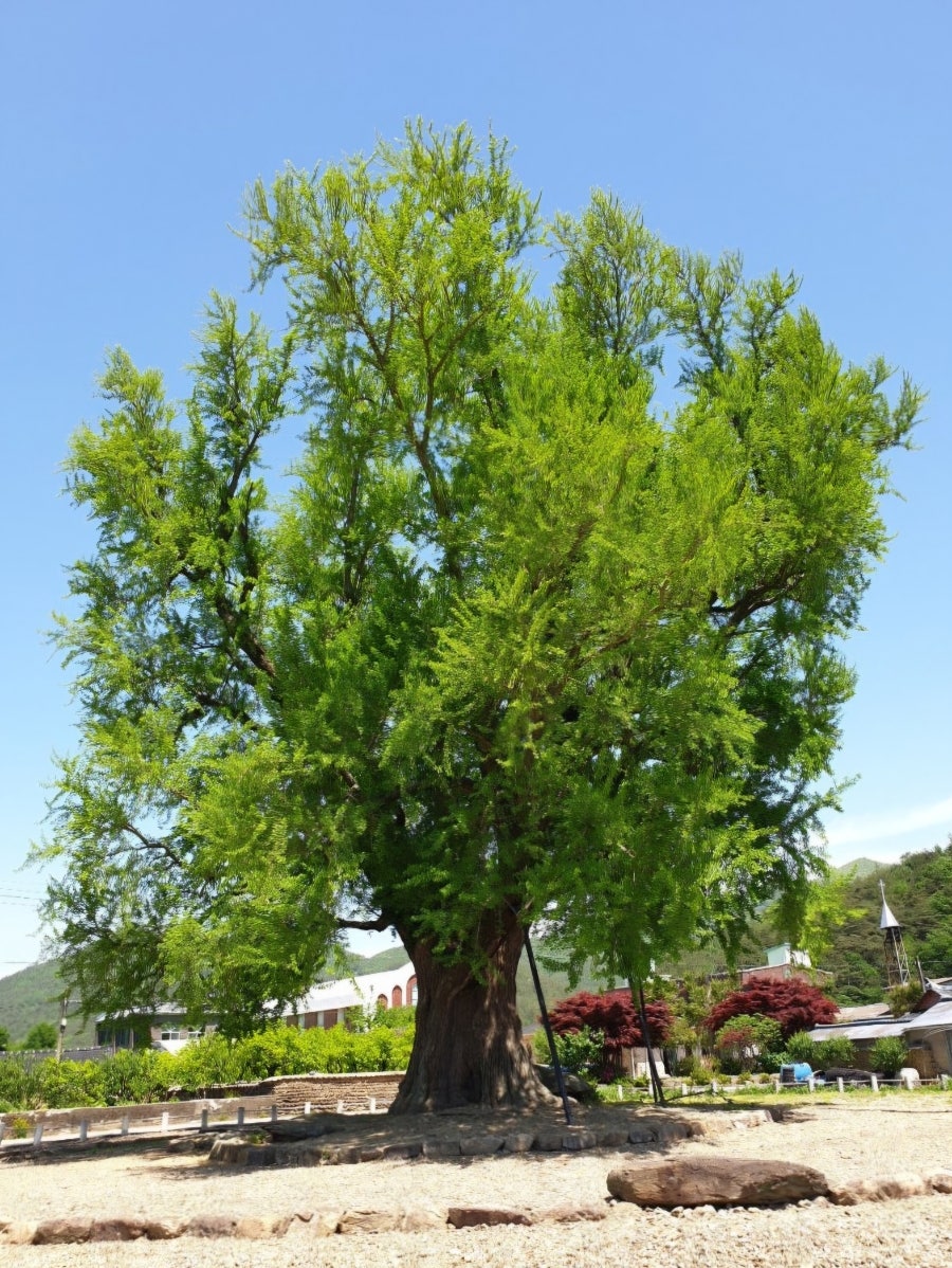 덕룡산 사진 2