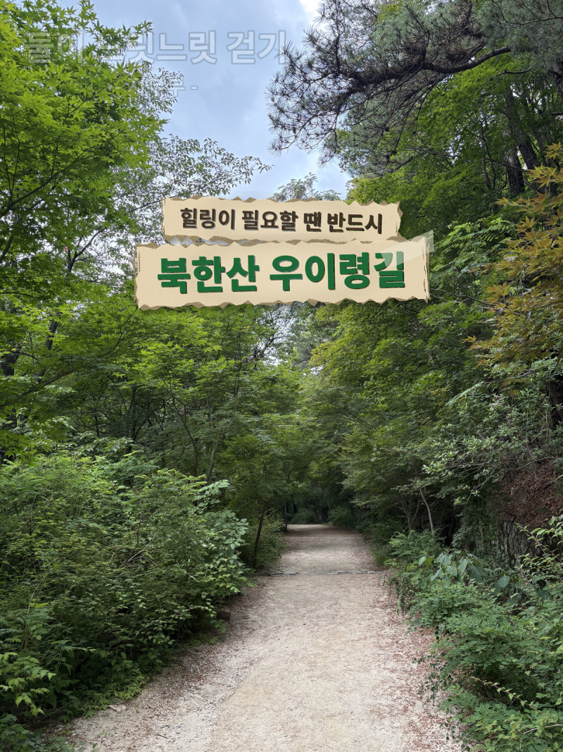 북한산둘레길 우이령길, 오봉전망대까지 힐링 산책 (예약·주차·화장실 총정리)