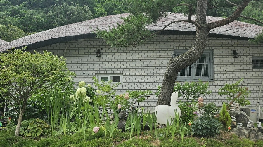 그릴841 사진 1