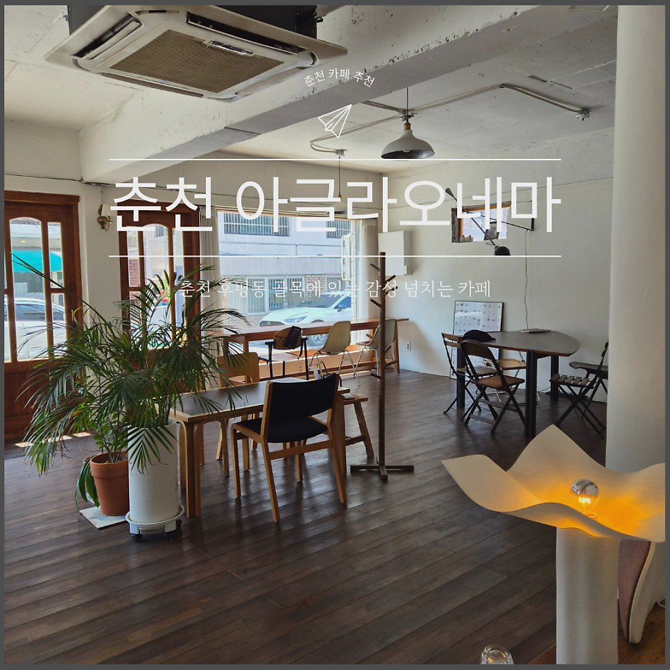 아글라오네마 사진 1