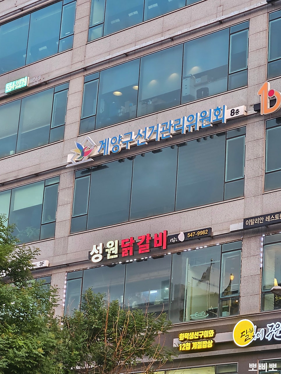 성원닭갈비 효성본점 사진 2