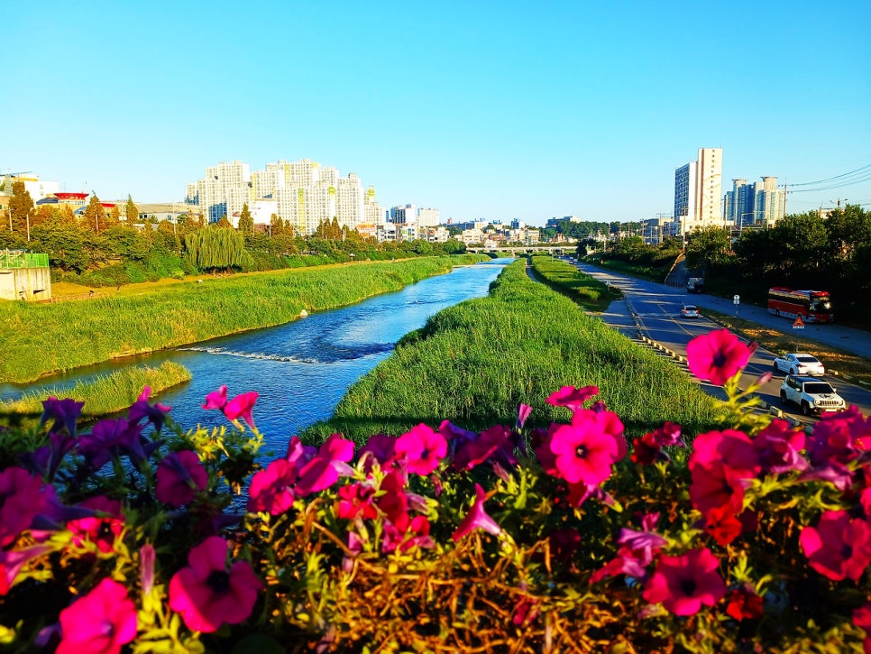 산성산 사진 6