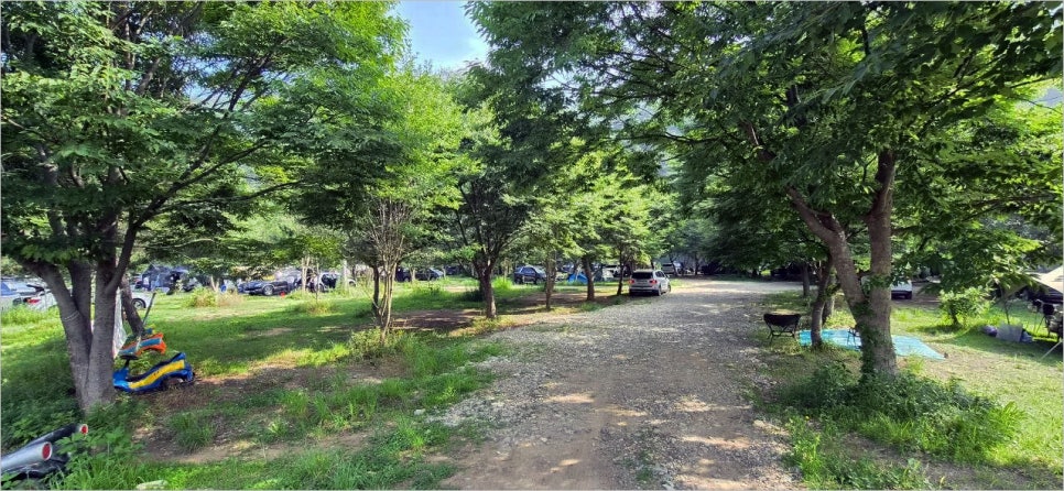 보리울 사진 4