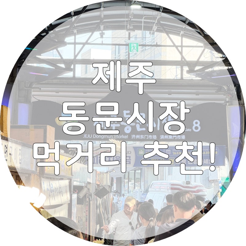 제주 동문시장 먹거리 추천! (탐라만두, 귤모찌, 흑돼지김치말이, 거부기밥, 두툼회, 흑돼지....