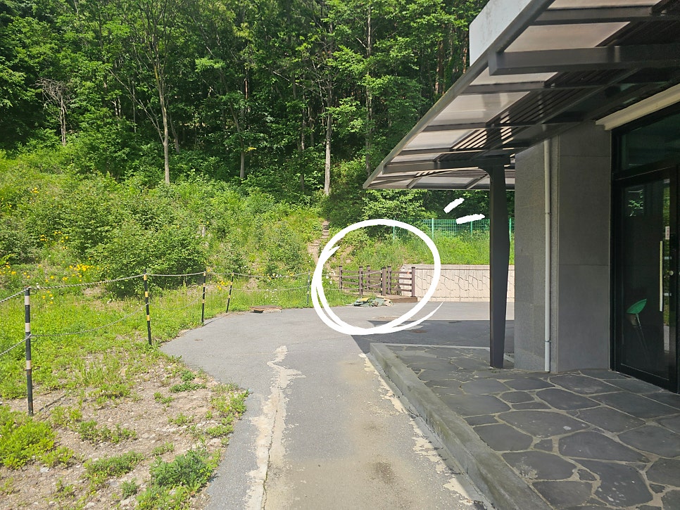 연화산 사진 5