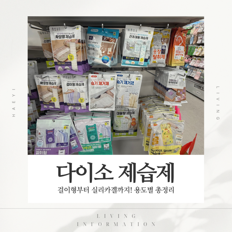 다이소 제습제 추천 장마철 옷장·드레스룸 습기 잡는 가성비템 총정리