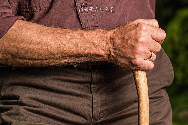 원광효도의집 사진 5