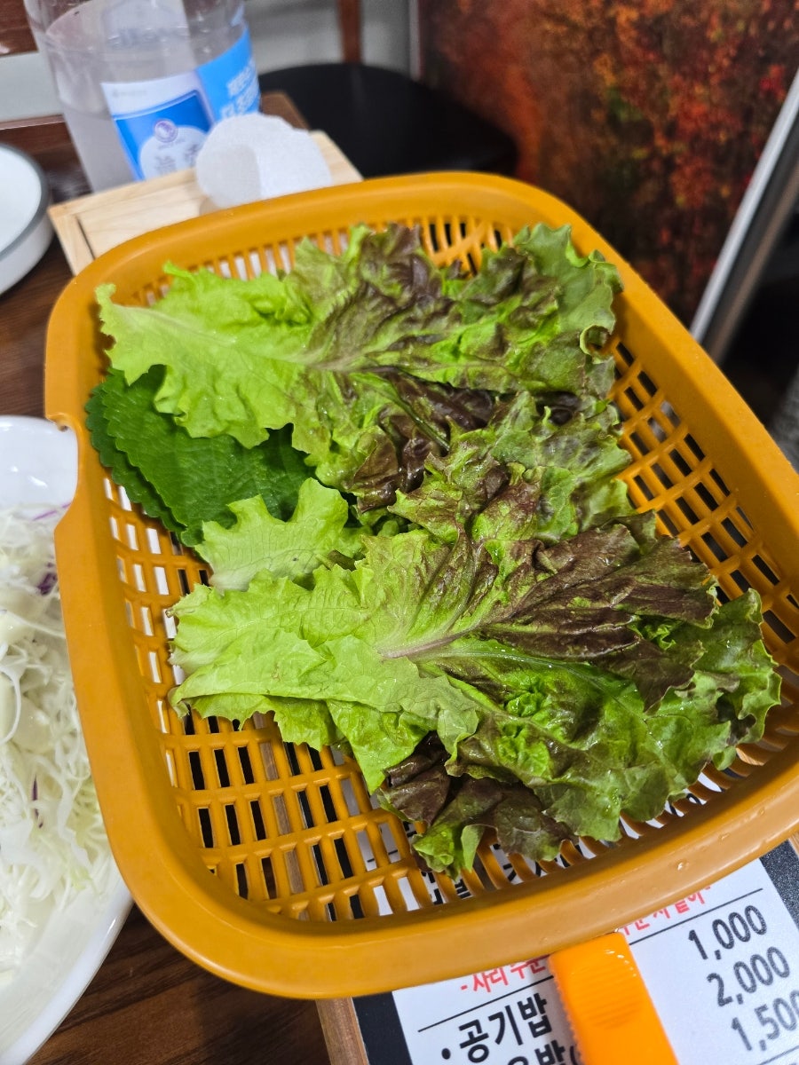 하늘날닭 사진 5