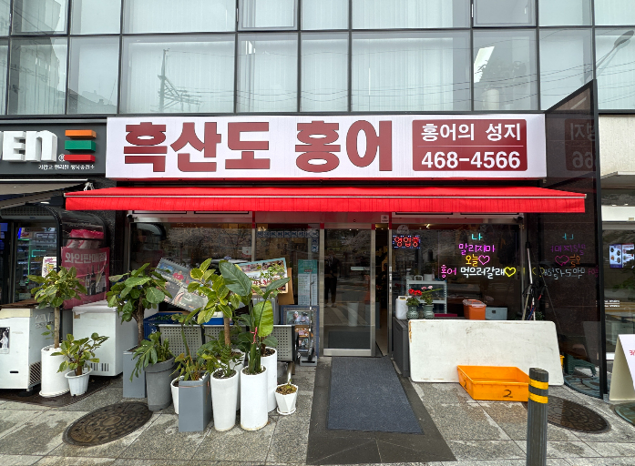 흑산도홍어 사진 2