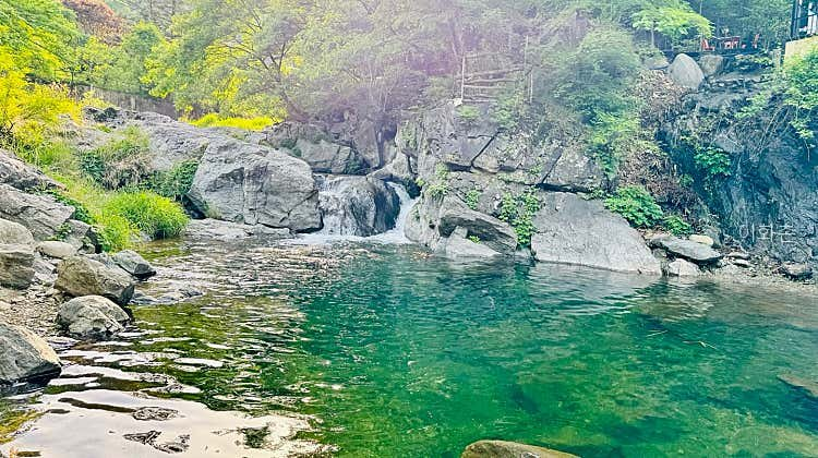 이화촌펜션 사진 1
