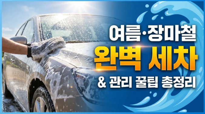 여름철 장마철 자동차 세차 방법 및 주의사항 총정리