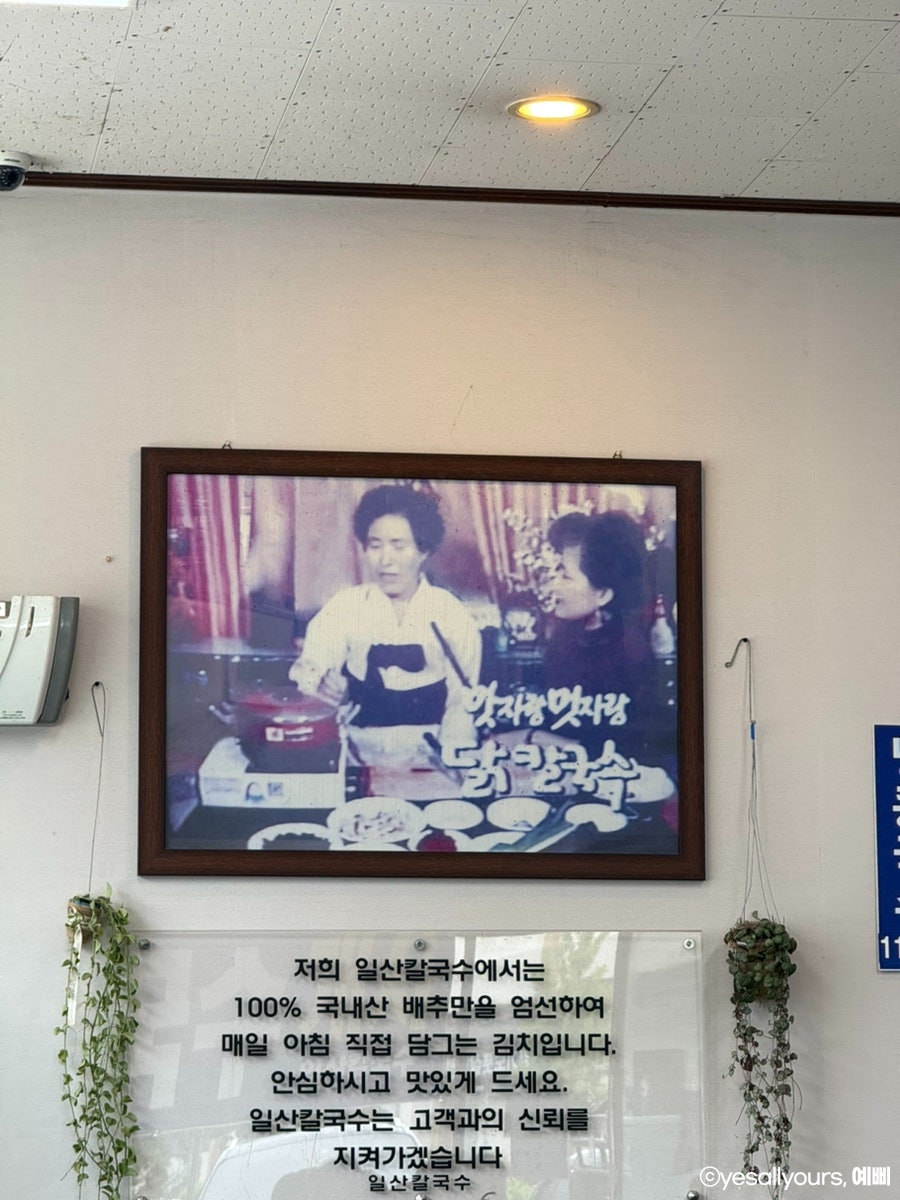 일산칼국수 김포점 사진 6
