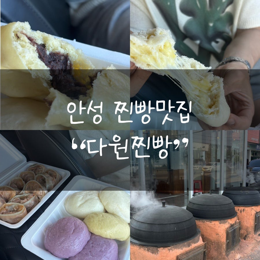 다원 사진 1