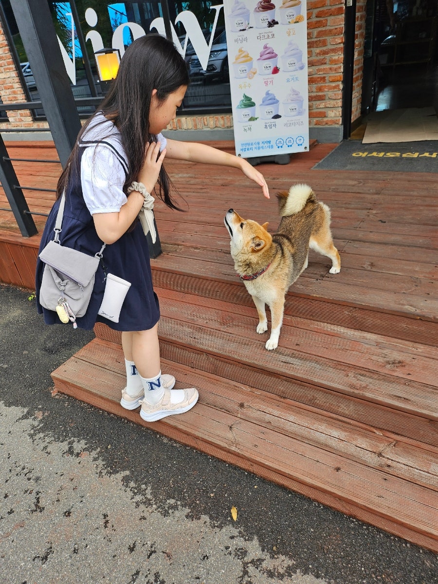 카페뷰 사진 2