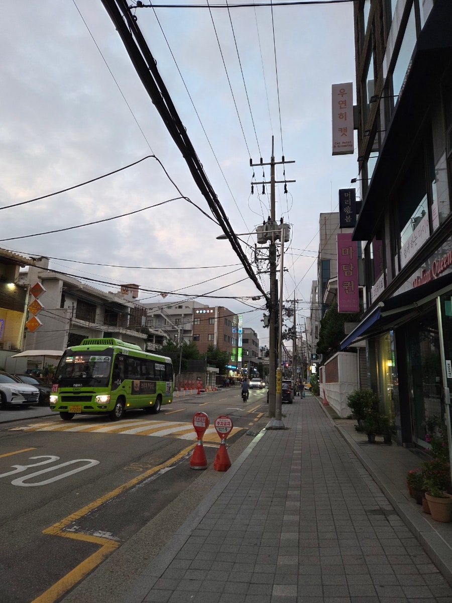 글루글루 사진 6
