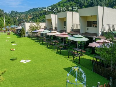 카페임초리 사진 4