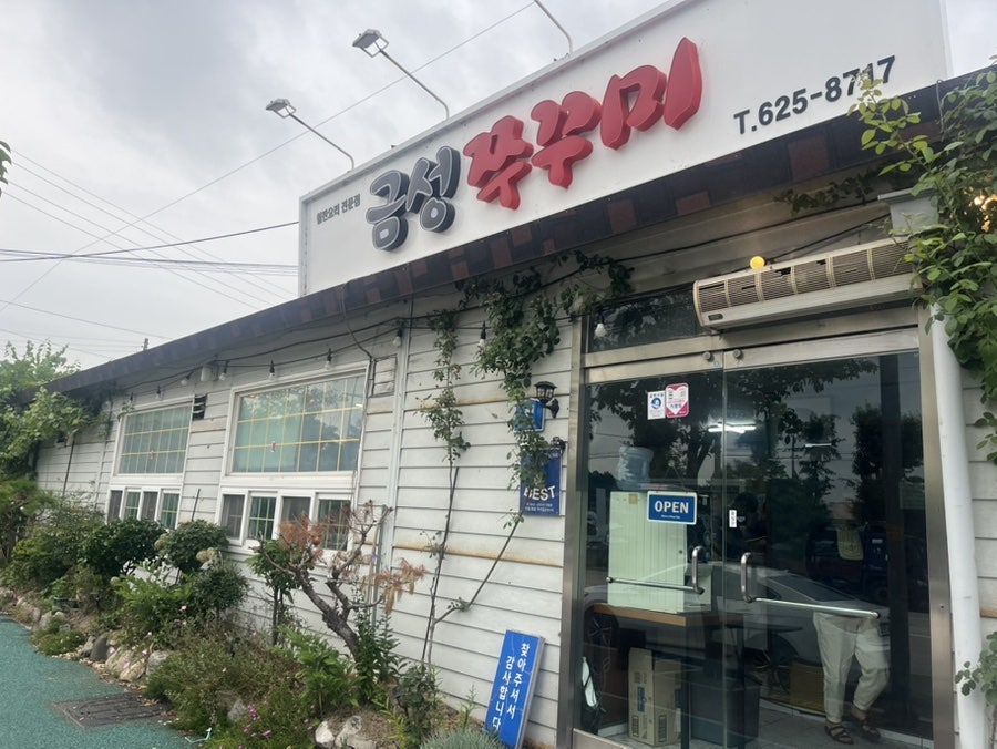 금성쭈꾸미 사진 1