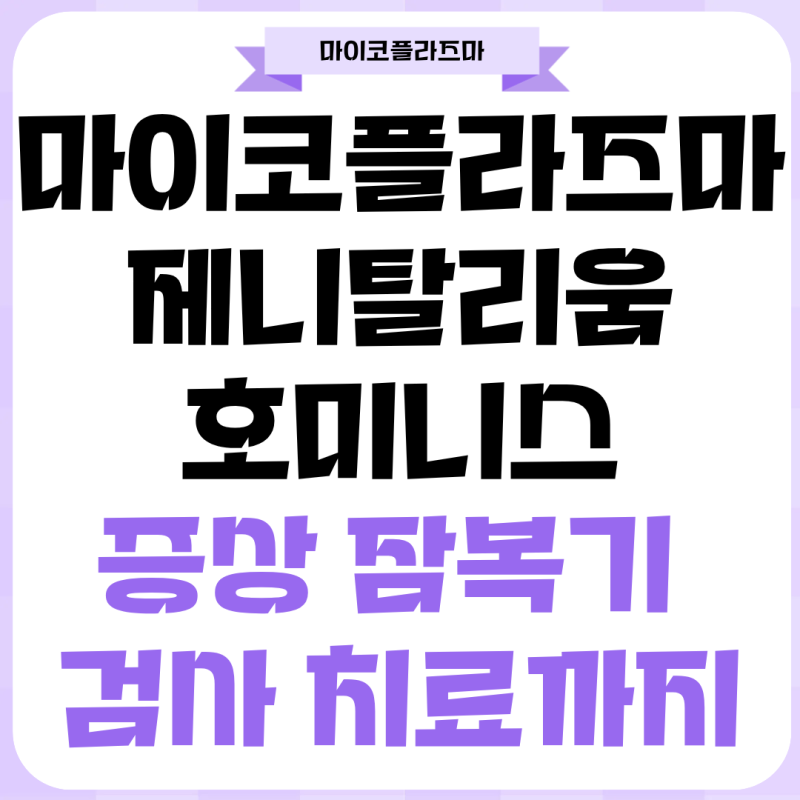 마이코플라즈마 제니탈리움 호미니스 증상 잠복기 검사 치료까지 한 번에 정리