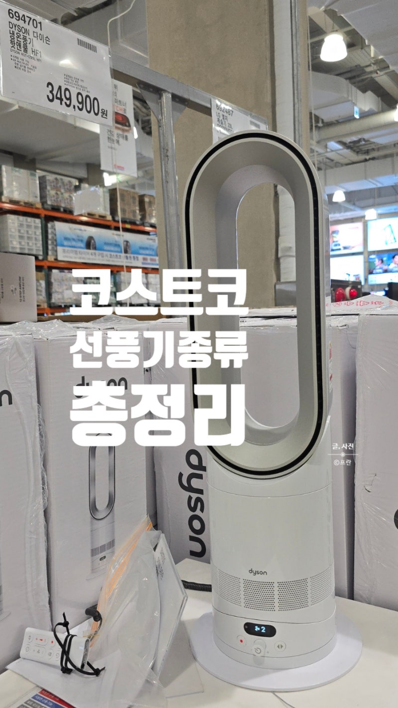 코스트코 선풍기 총정리 다이슨 핫앤쿨 루메나 서큘레이터 등 가격 성능 비교
