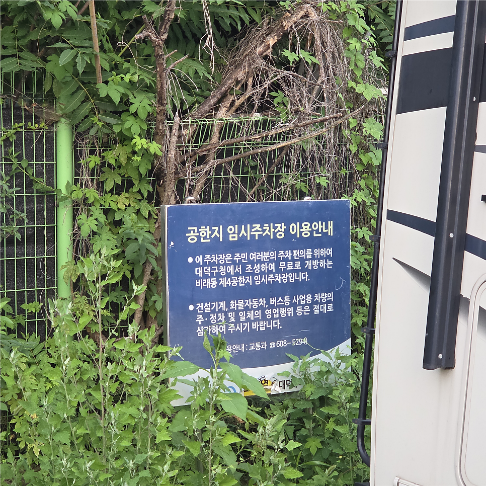 산삼과흑염소 사진 4