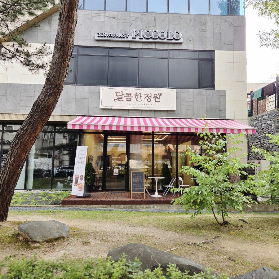돼지바 사진 1