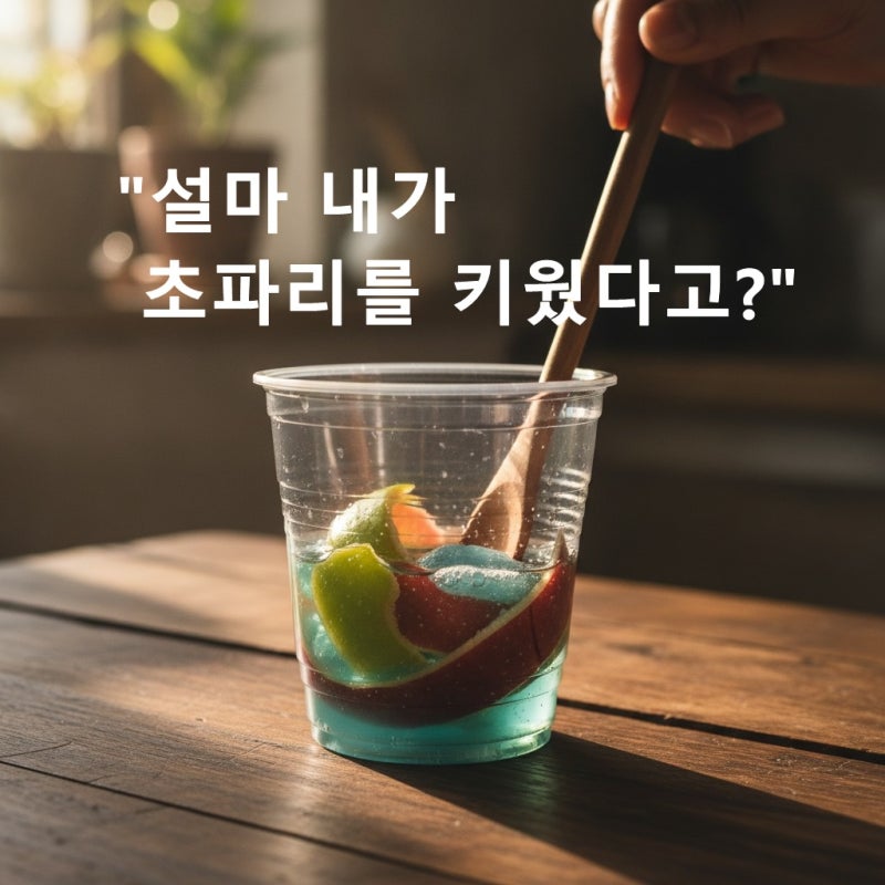 여름철 초파리 없애는 법, 식초부터 트랩까지 해본 후기
