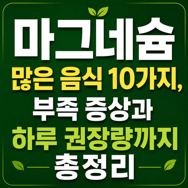 마그네슘 많은 음식 10가지, 부족 증상과 하루 권장량까지 총정리