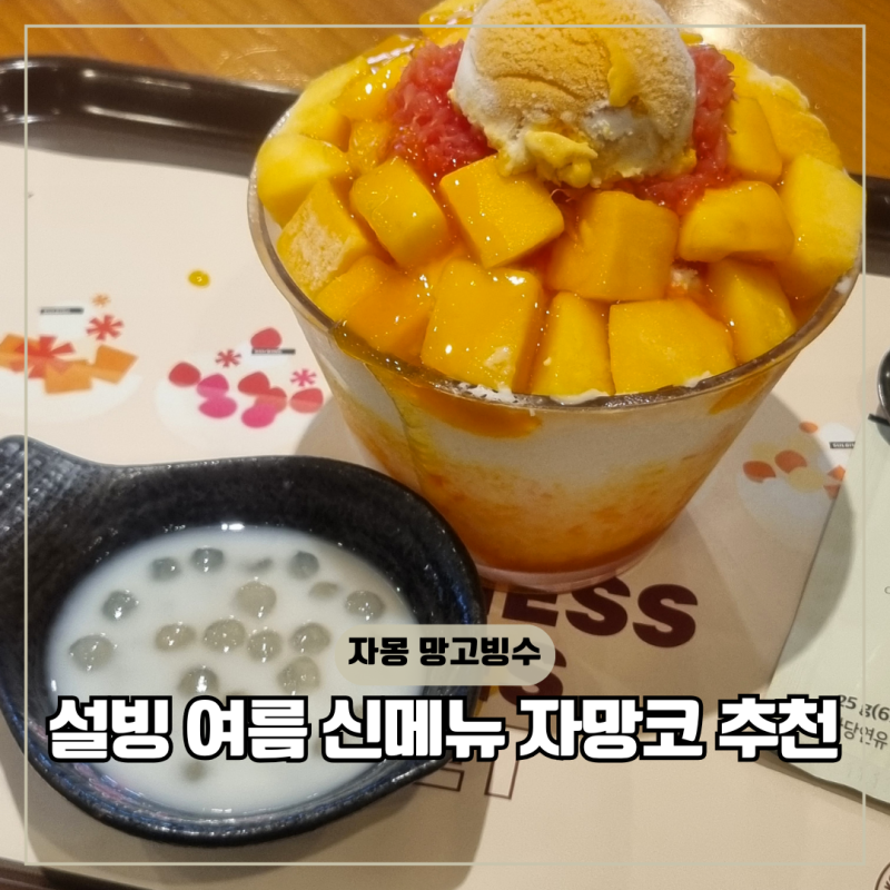설빙 자망코 메뉴 가격 자몽망고빙수 코코넛펄 먹는 방법