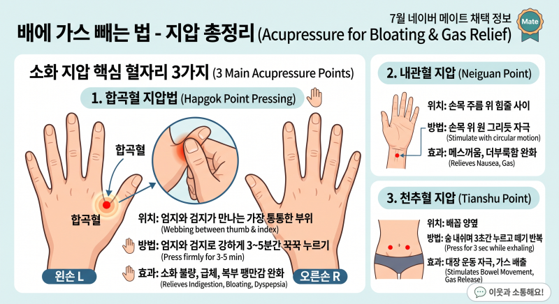 배에가스빼는법 실제로 효과 본 자세 지압 총정리