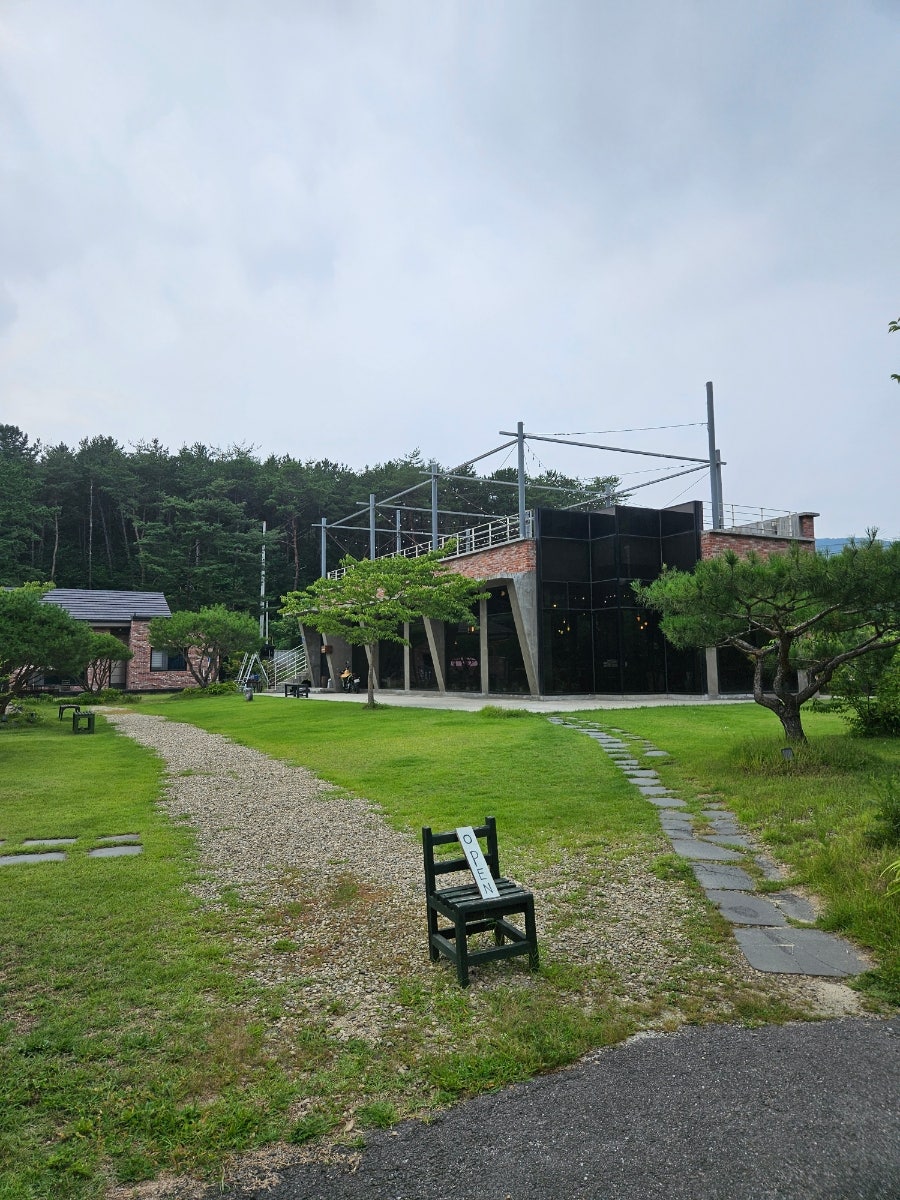 들꽃 사진 2