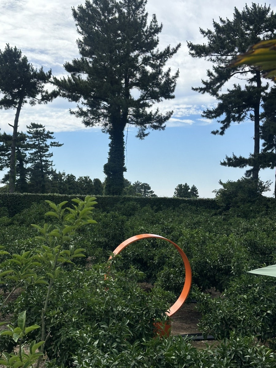 써니봉 사진 6