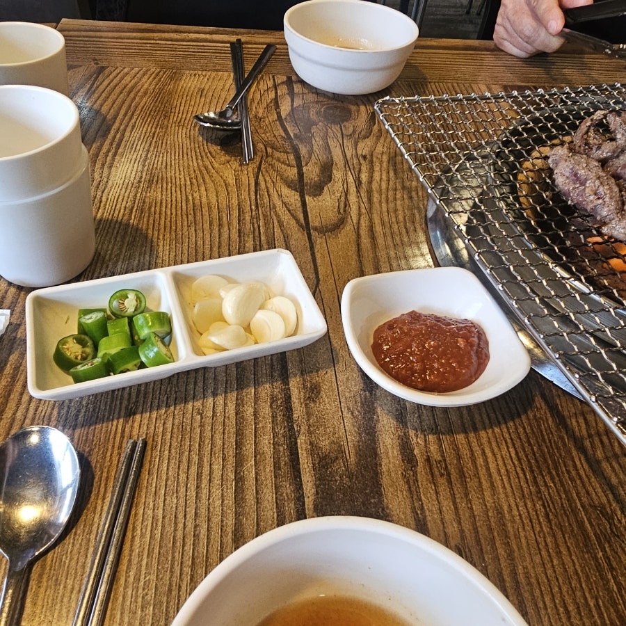 화덕갈매기 사진 3