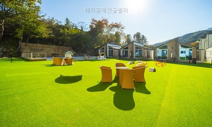 체리몽애견풀빌라 사진 5
