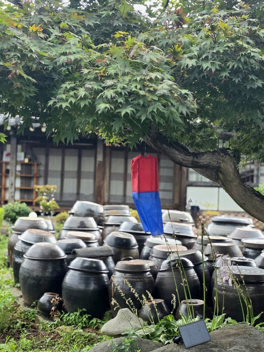 예향 사진 1