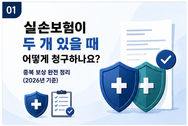 실손보험이 두 개 있을 때 어떻게 청구하나요?