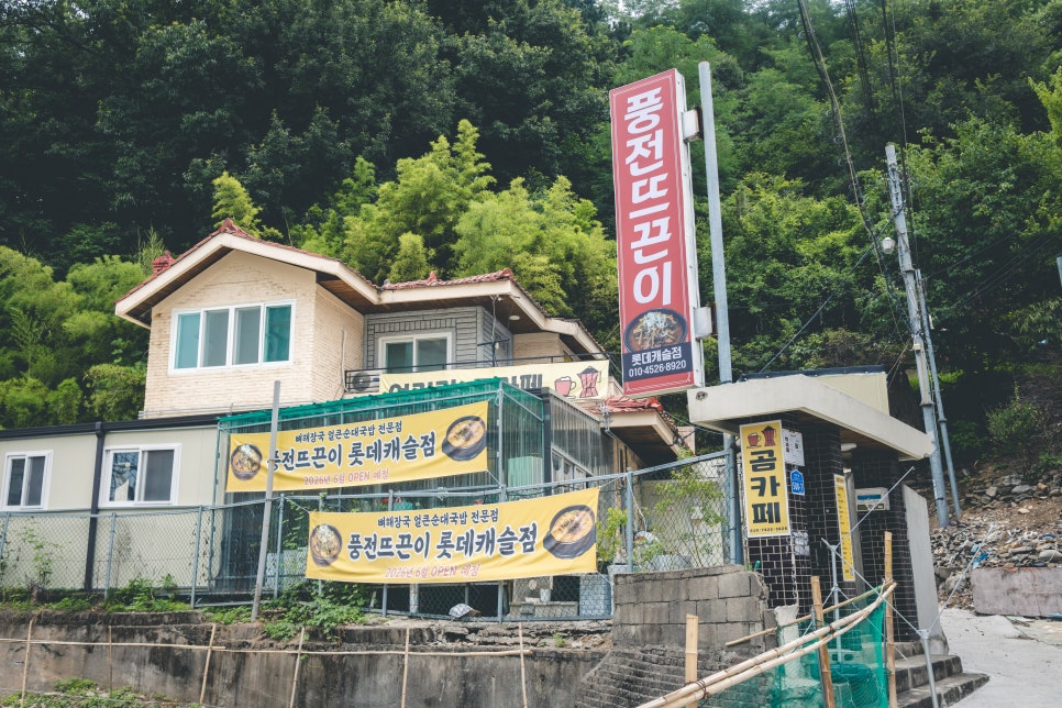 풍전뜨끈이 사진 3